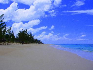 Apartamento de vacaciones en Palmetto Point (Governor