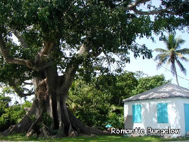 Apartamento de vacaciones en Palmetto Point (Governor