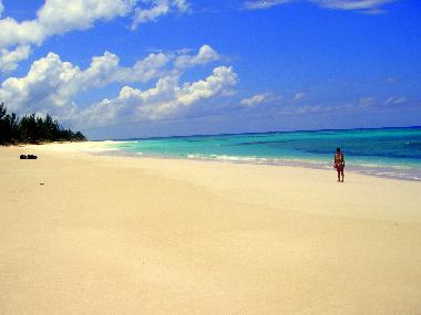 Apartamento de vacaciones en Palmetto Point (Governor