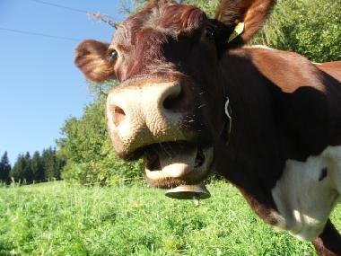 Apartamento de vacaciones en Seeboden am Millstttersee (Oberkrnten)Casa de vacaciones