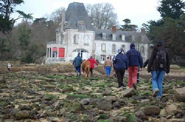Cama y desayuno en DOUARNENEZ (Finist�re)Casa de vacaciones