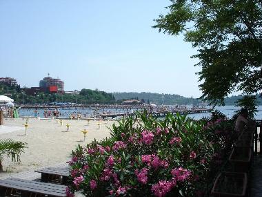 Playa