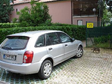 Estacionamiento