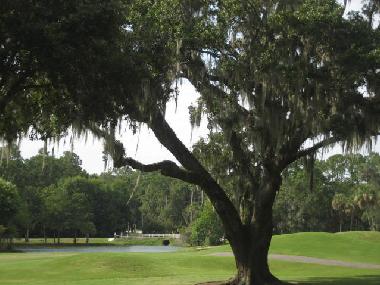 Casa de vacaciones en Okatie (South Carolina)Casa de vacaciones