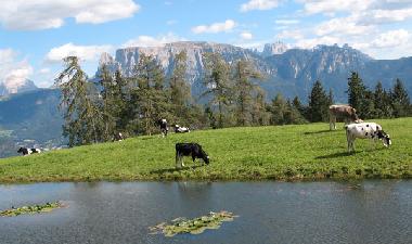 Apartamento de vacaciones en Klobenstein (Bolzano-Bozen)Casa de vacaciones