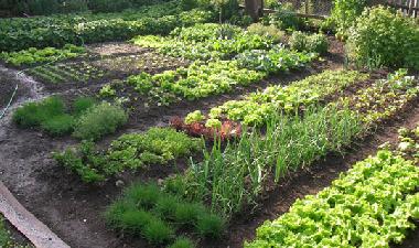 Apartamento de vacaciones en Klobenstein (Bolzano-Bozen)Casa de vacaciones