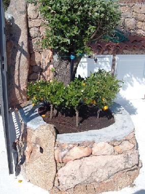 Casa de vacaciones en Abbiadori (Olbia-Tempio)Casa de vacaciones