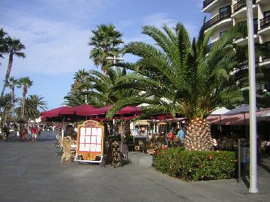 Apartamento de vacaciones en La Orotava (Teneriffa)Casa de vacaciones