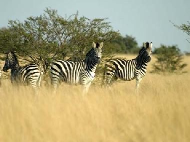 Hotel en Jeffreys Bay (Eastern Cape)Casa de vacaciones
