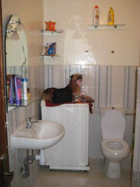 Apartamento de vacaciones en Tanger (Tanger)Casa de vacaciones