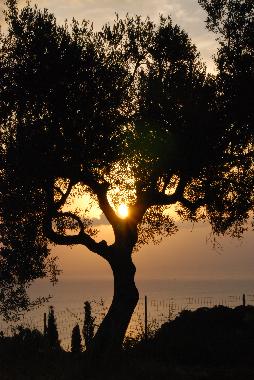 Casa de vacaciones en Volimes (Zakynthos)Casa de vacaciones