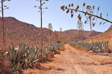 Casa de vacaciones en Rodalquilar (Almer�a)Casa de vacaciones