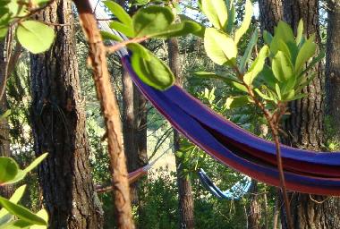 Casa de vacaciones en Ftima (Pinhal Litoral)Casa de vacaciones