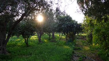 Casa de vacaciones en Trapani (Rilievo) (Trapani)Casa de vacaciones