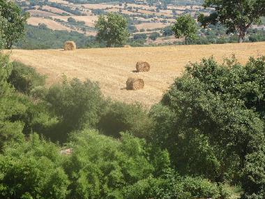 Casa de vacaciones en Scansano (Grosseto)Casa de vacaciones