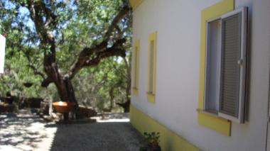 Casa de vacaciones en Sao Bras de Alportel (Algarve)Casa de vacaciones