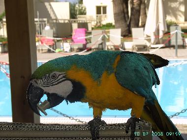 Apartamento de vacaciones en Ayia Napa (Famagusta)Casa de vacaciones