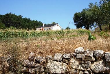 Casa de vacaciones en Ftima (Pinhal Litoral)Casa de vacaciones