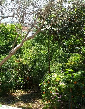 Casa de vacaciones en Scauri (LT) (Latina)Casa de vacaciones