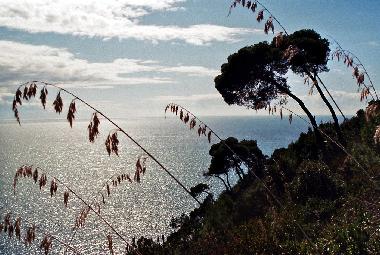 Casa de vacaciones en Scauri (LT) (Latina)Casa de vacaciones