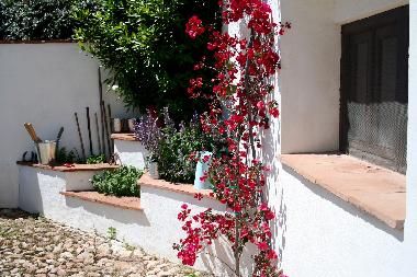 Hotel en Comares (M�laga)Casa de vacaciones