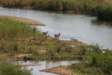 Casa de vacaciones en Marloth Park, Mpumalanga. (Mpumalanga)Casa de vacaciones