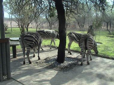 Casa de vacaciones en Marloth Park, Mpumalanga. (Mpumalanga)Casa de vacaciones