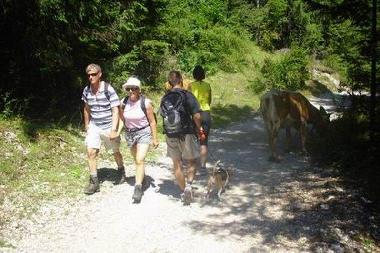 Apartamento de vacaciones en Bohinjska Bistrica (Bohinj)Casa de vacaciones