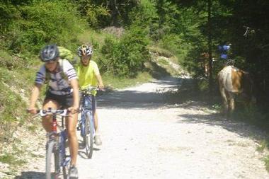 Apartamento de vacaciones en Bohinjska Bistrica (Bohinj)Casa de vacaciones