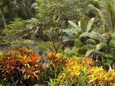 Casa de vacaciones en Pilimathalawa (Kandy)Casa de vacaciones