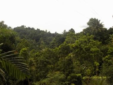 Casa de vacaciones en Pilimathalawa (Kandy)Casa de vacaciones