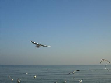 Apartamento de vacaciones en Baabe (Ostsee-Inseln)Casa de vacaciones