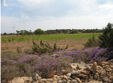 Casa de vacaciones en Romakloster  (Gotland)Casa de vacaciones