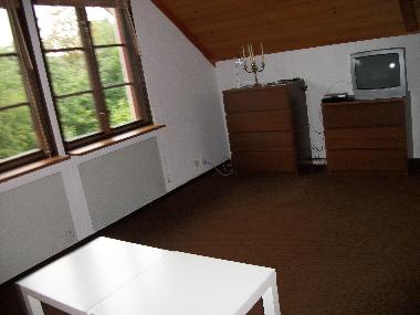 sal�n: zona televisi�n