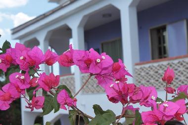 Casa de vacaciones en Marina di Lizzano (Lecce)Casa de vacaciones