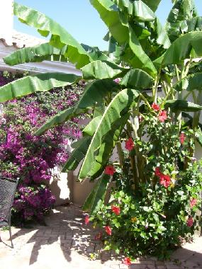 Casa de vacaciones en Nuevo Portil (Huelva)Casa de vacaciones