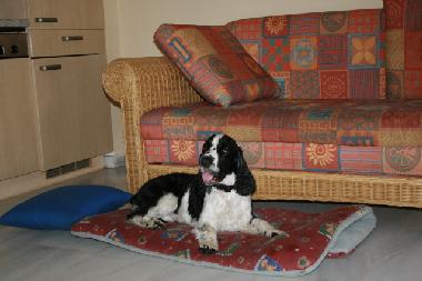 Casa de vacaciones en Nuevo Portil (Huelva)Casa de vacaciones