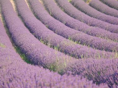 Casa de vacaciones en ARTIGNOSC SUR VERDON (Var)Casa de vacaciones