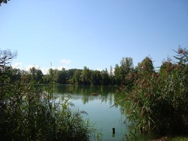 Casa de vacaciones en Luckenau (Halle / Saale-Unstrut)Casa de vacaciones