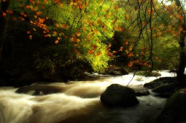 Apartamento de vacaciones en Woolacombe (South West)Casa de vacaciones