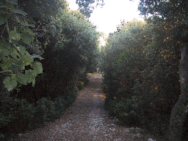 Cama y desayuno en Sassari (Sassari)Casa de vacaciones
