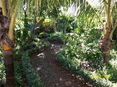 Apartamento de vacaciones en albion (Black River)Casa de vacaciones