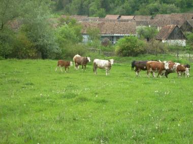 Casa de vacaciones en Roandola (Sibiu)Casa de vacaciones