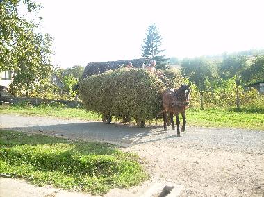Casa de vacaciones en Roandola (Sibiu)Casa de vacaciones