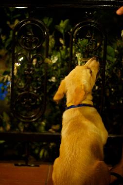 Casa de vacaciones en Rethimno (Rethymni)Casa de vacaciones