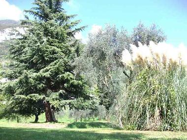 Casa de vacaciones en Mezzegra (Como)Casa de vacaciones