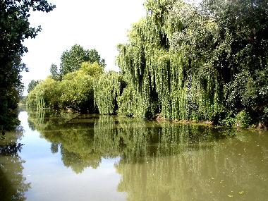 Casa de vacaciones en LA TAILLEE (Vend�e)Casa de vacaciones