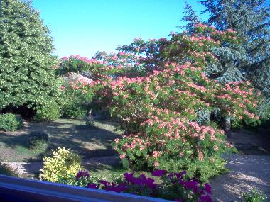 Cama y desayuno en Souvigne (Deux-Svres)Casa de vacaciones