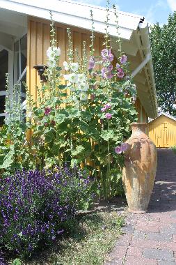 Casa de vacaciones en Vejby (Frederiksborg)Casa de vacaciones