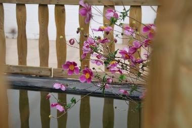 Casa de vacaciones en Falisolle (Wallonia)Casa de vacaciones